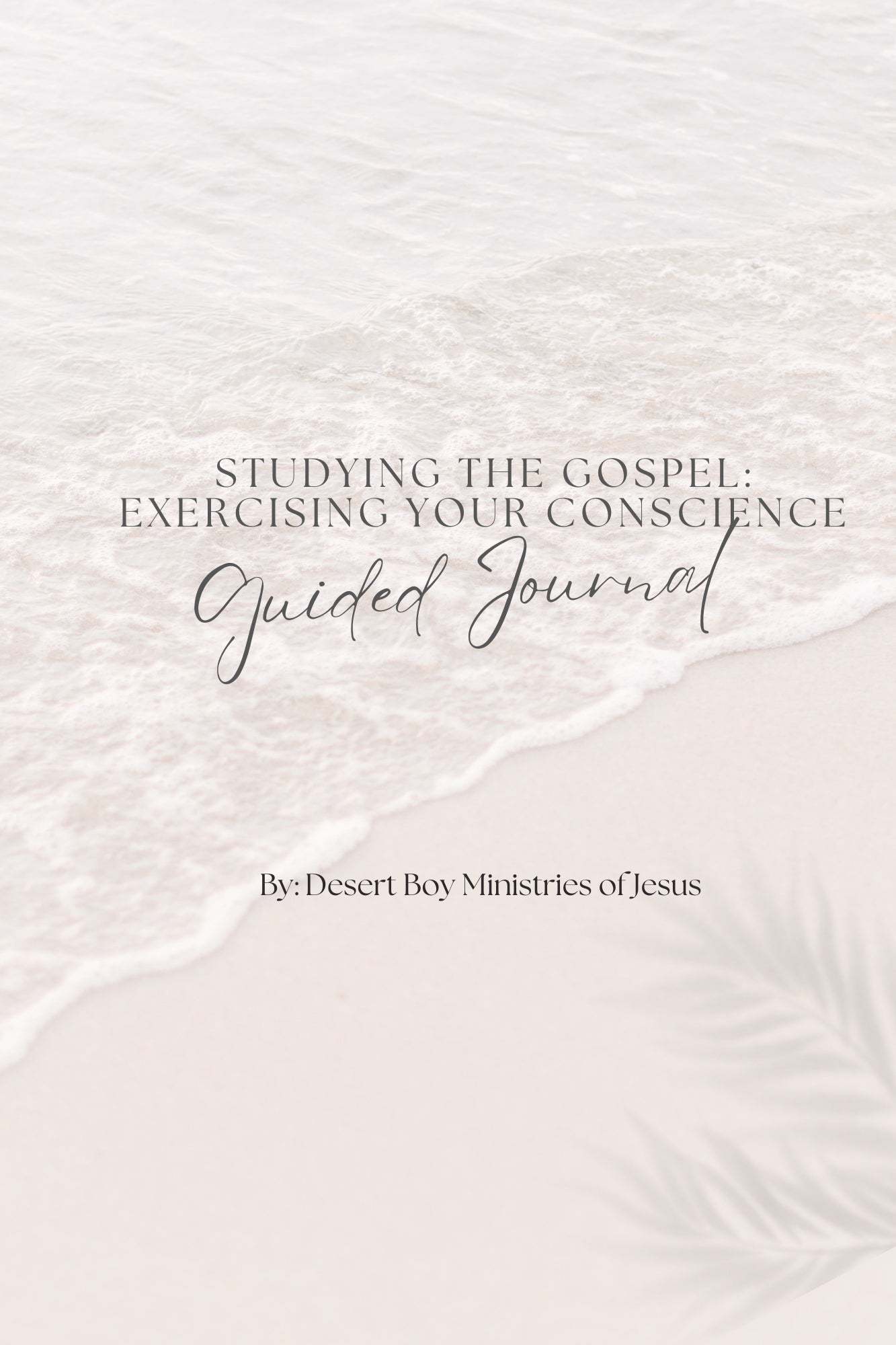 STUDYING THE GOSPEL: EXERCISING YOUR CONSCIENCE (GUIDED E-JOURNAL)